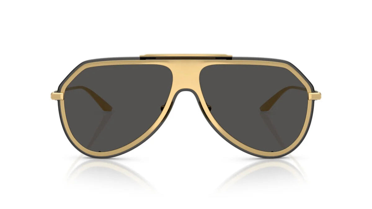 DOLCE & GABBANA SUNGLASSES - DG2309 02/87 43