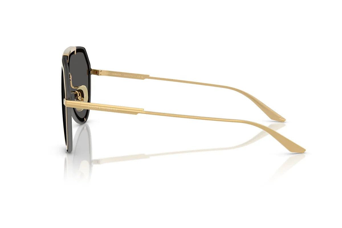 DOLCE & GABBANA SUNGLASSES - DG2309 02/87 43