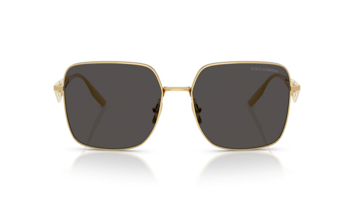 DOLCE & GABBANA SUNGLASSES - DG2310 02/87 57