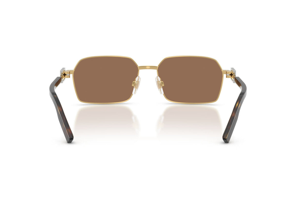 DOLCE & GABBANA SUNGLASSES - DG2316 02/73 56