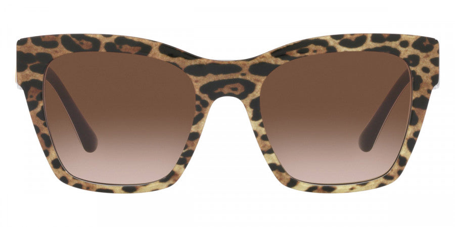 DOLCE & GABBANA SUNGLASSES - DG4384 316313 53 - Leopard Brown on Black