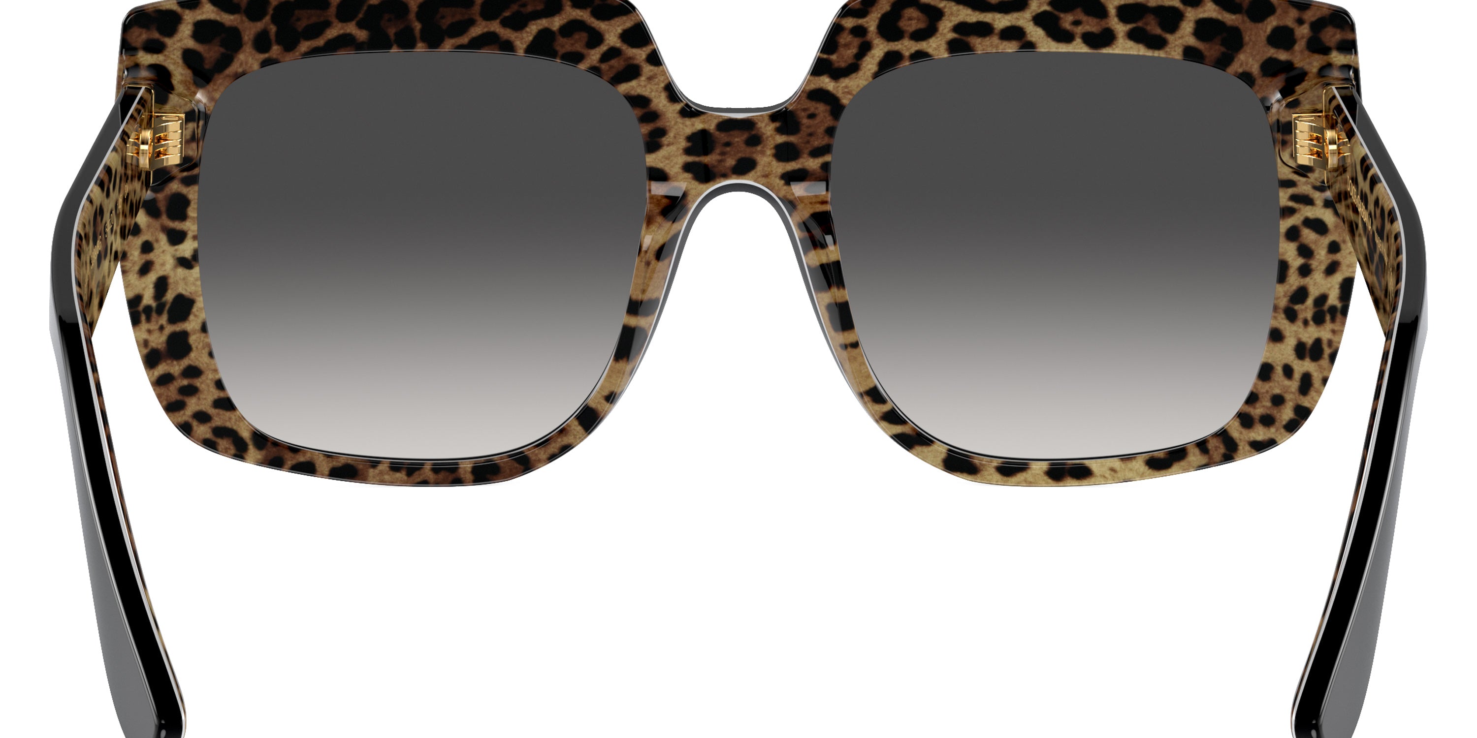 DOLCE & GABBANA SUNGLASSES - DG4414 32998G 54 - Black on Leo Brown