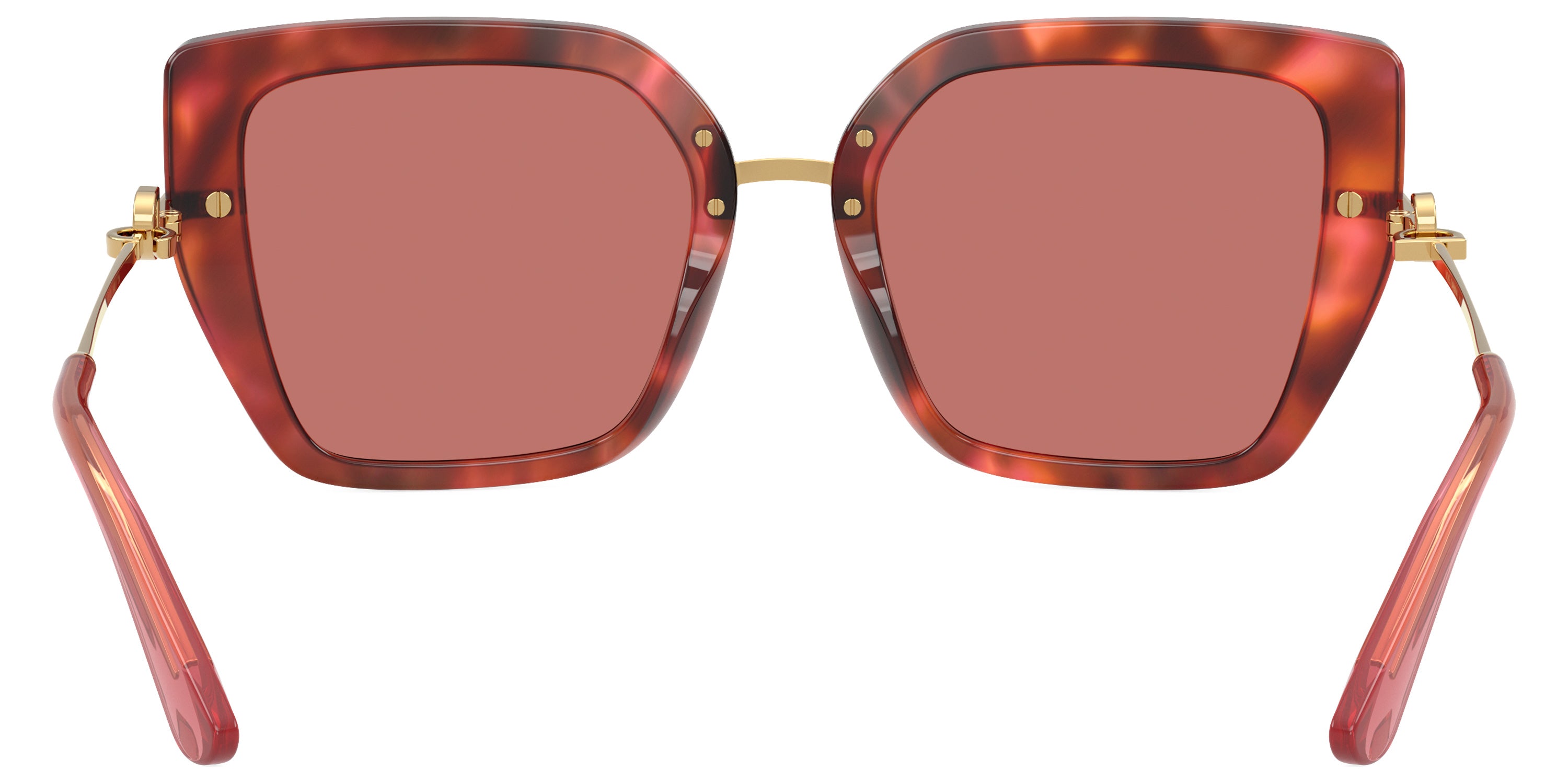 DOLCE & GABBANA SUNGLASSES - DG4474 344469 53 - Havana Brown/Gold