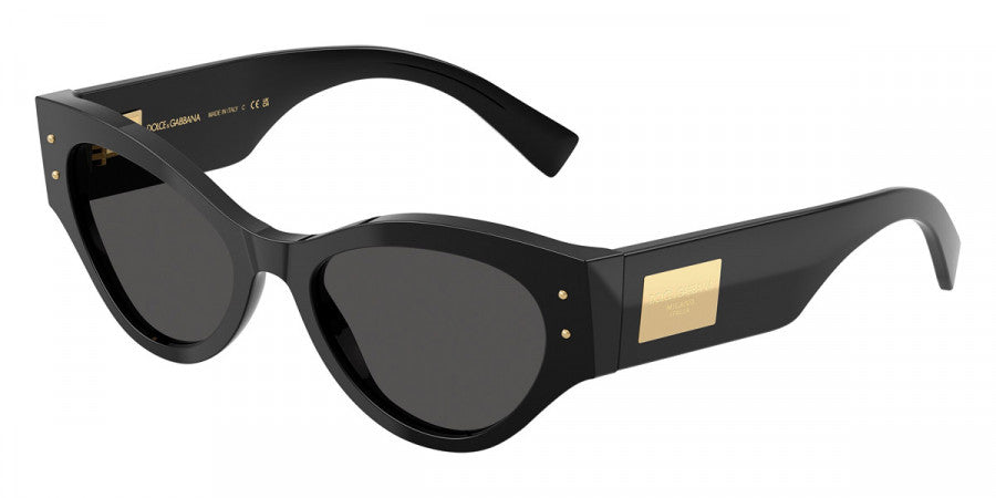 DOLCE & GABBANA SUNGLASSES - DG4480 501/87 53 - Black