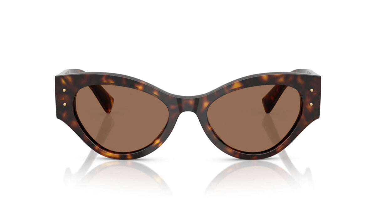 DOLCE & GABBANA SUNGLASSES - DG4480 502/73 53