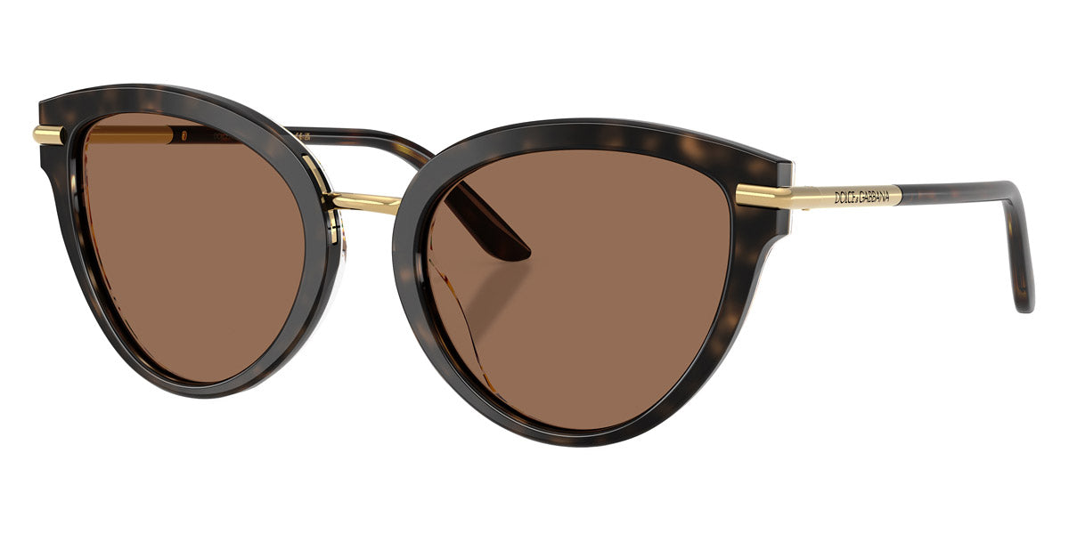 DOLCE & GABBANA SUNGLASSES - DG4492 321713 55 - Havana on White Barrow/Gold