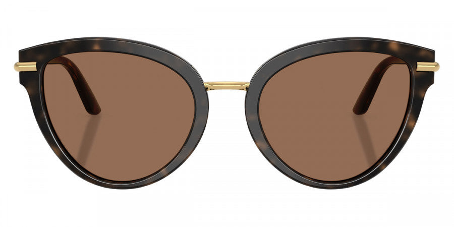 DOLCE & GABBANA SUNGLASSES - DG4492 321713 55 - Havana on White Barrow/Gold