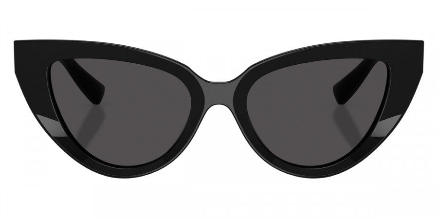 DOLCE & GABBANA SUNGLASSES - DG4497 501/87 52 - Black