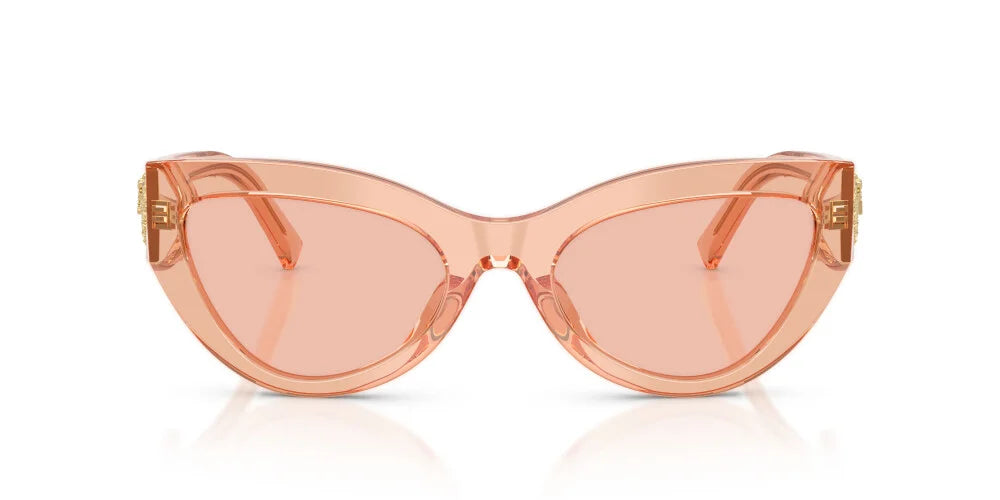 DOLCE & GABBANA SUNGLASSES - DG4536 322684 55