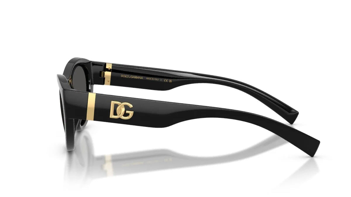 DOLCE & GABBANA SUNGLASSES - DG6207 501/87 54