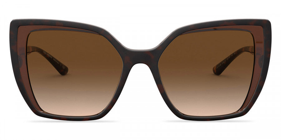 DOLCE & GABBANA SUNGLASSES - Line DG6138 318513 55 - Havana on Transparent Brown