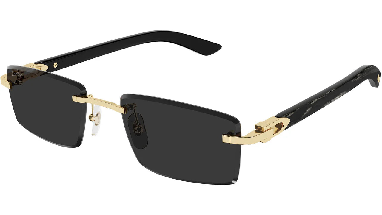 CARTIER SUNGLASSES - CT0582S 001 56