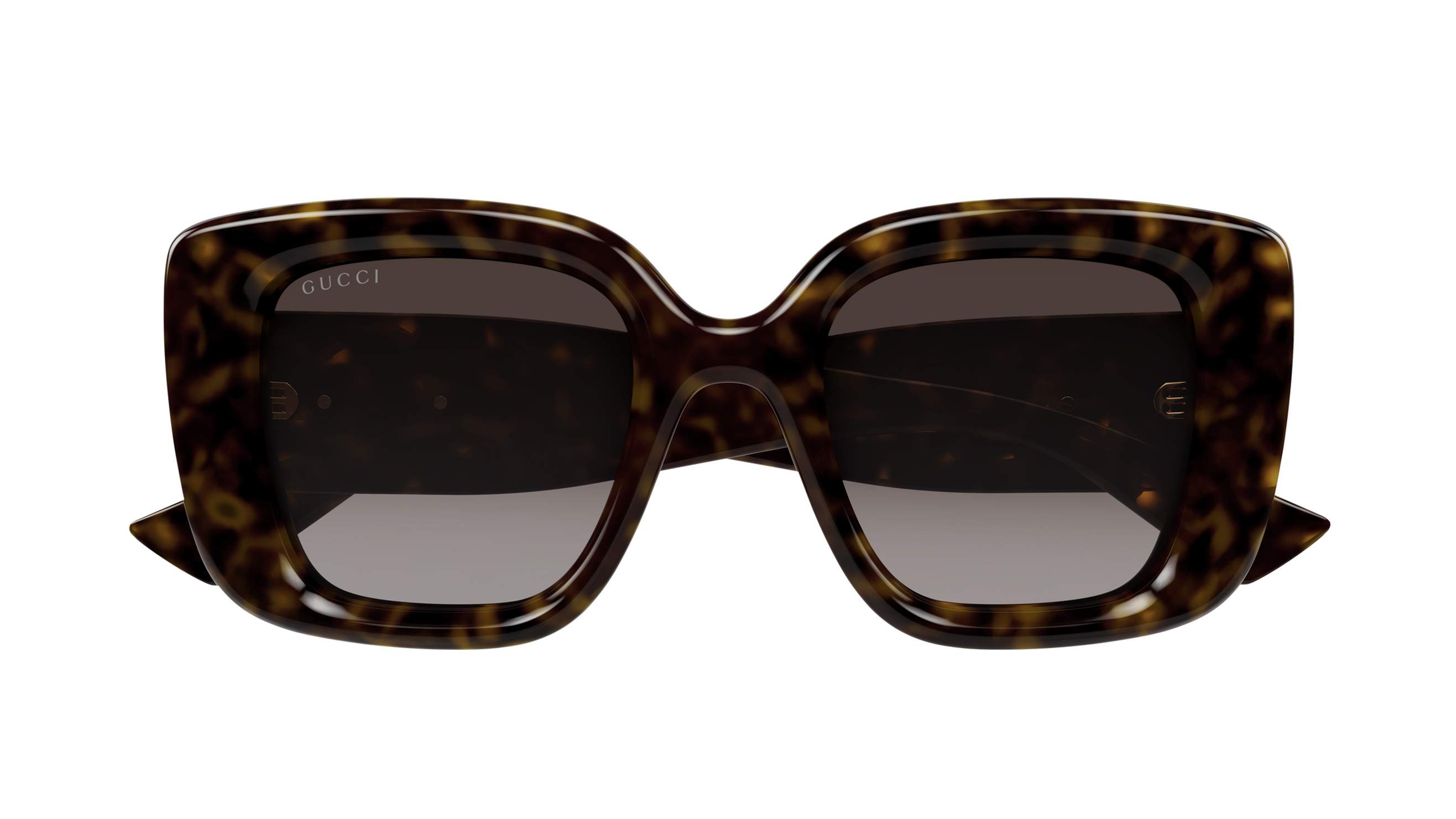 GUCCI SUNGLASSES - GG1975S 003 50