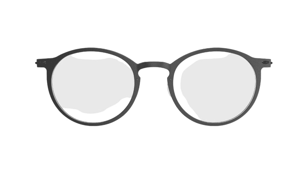 LINDBERG EYEGLASSES - 6541 D16 PU9 49