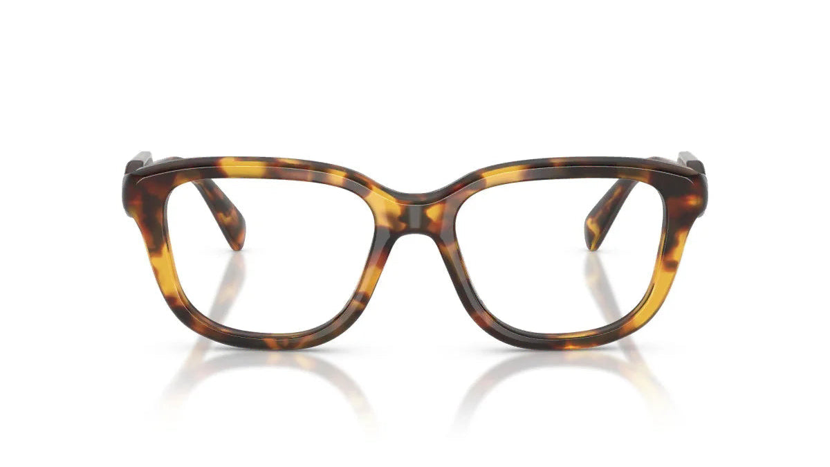 MIU MIU EYEGLASSES - MU 02ZV 14L1O1 51