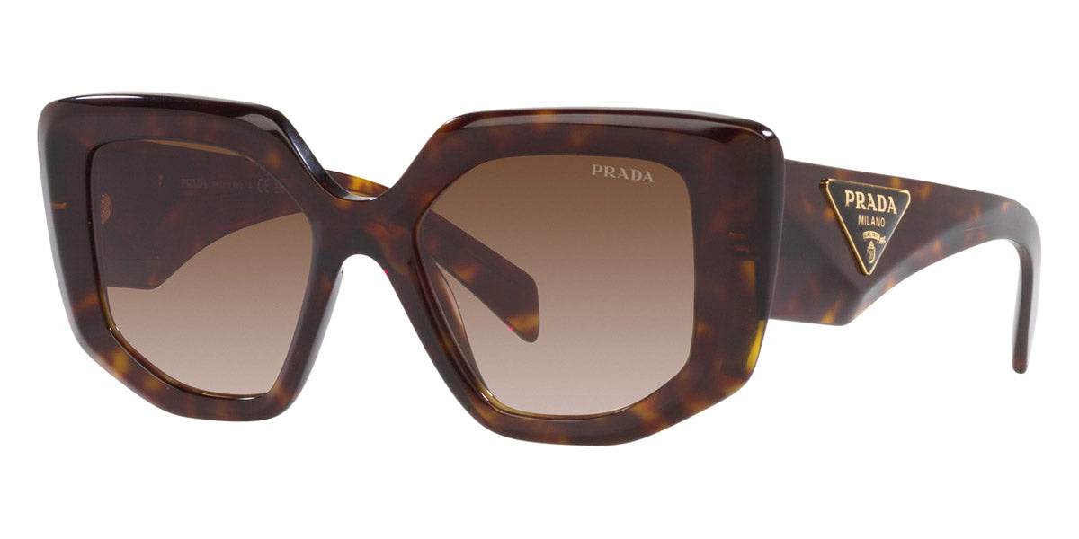 PRADA SUNGLASSES - PR 14ZS 2AU6S1 50 - Tortoise