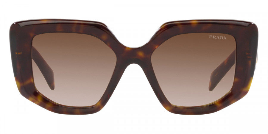 PRADA SUNGLASSES - PR 14ZS 2AU6S1 50 - Tortoise