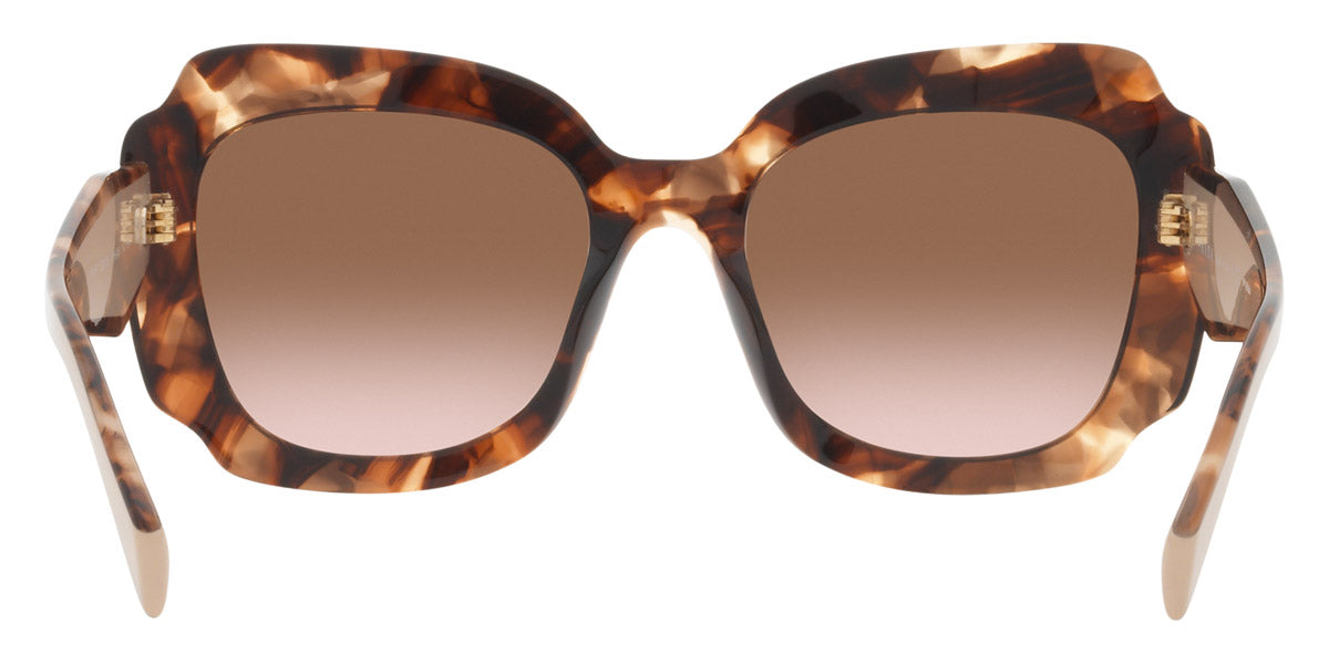PRADA SUNGLASSES - PR 16YS 01R0A6 52 - Havana