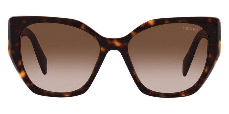 PRADA SUNGLASSES - PR 19ZS 2AU6S1 55 - Tortoise