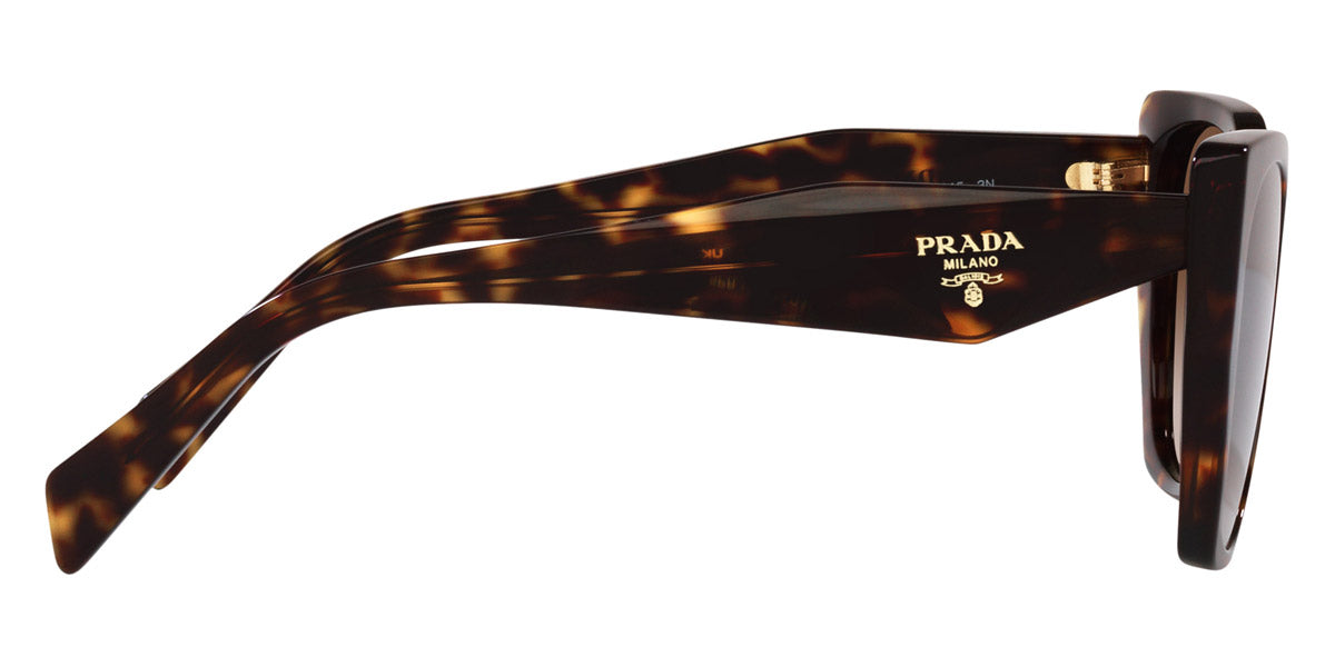 PRADA SUNGLASSES - PR 19ZS 2AU6S1 55 - Tortoise