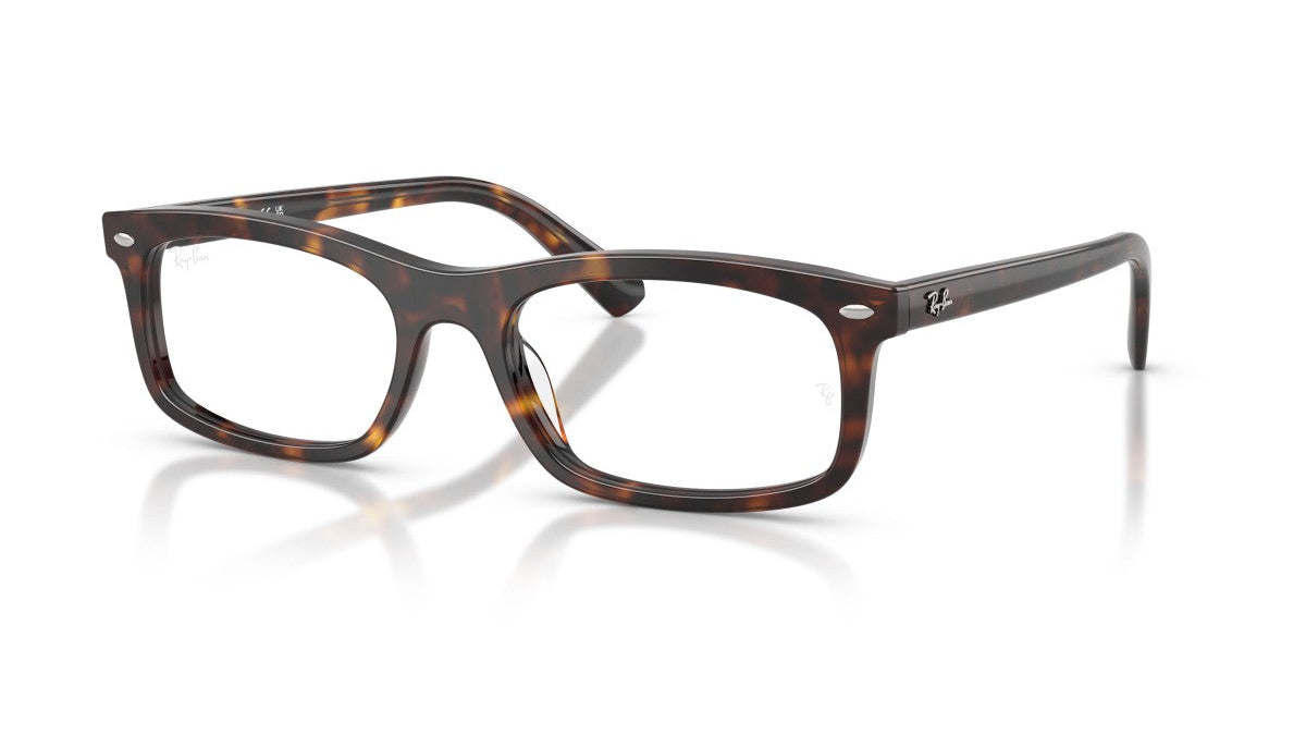 RAY-BAN EYEGLASSES - RX5450 2012 54