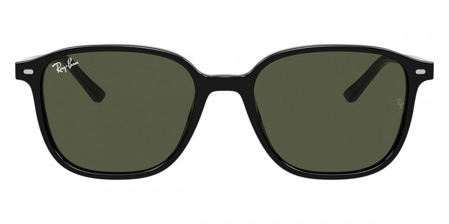 RAY-BAN SUNGLASSES LEONARD - RB2193 901/31 53 - Black
