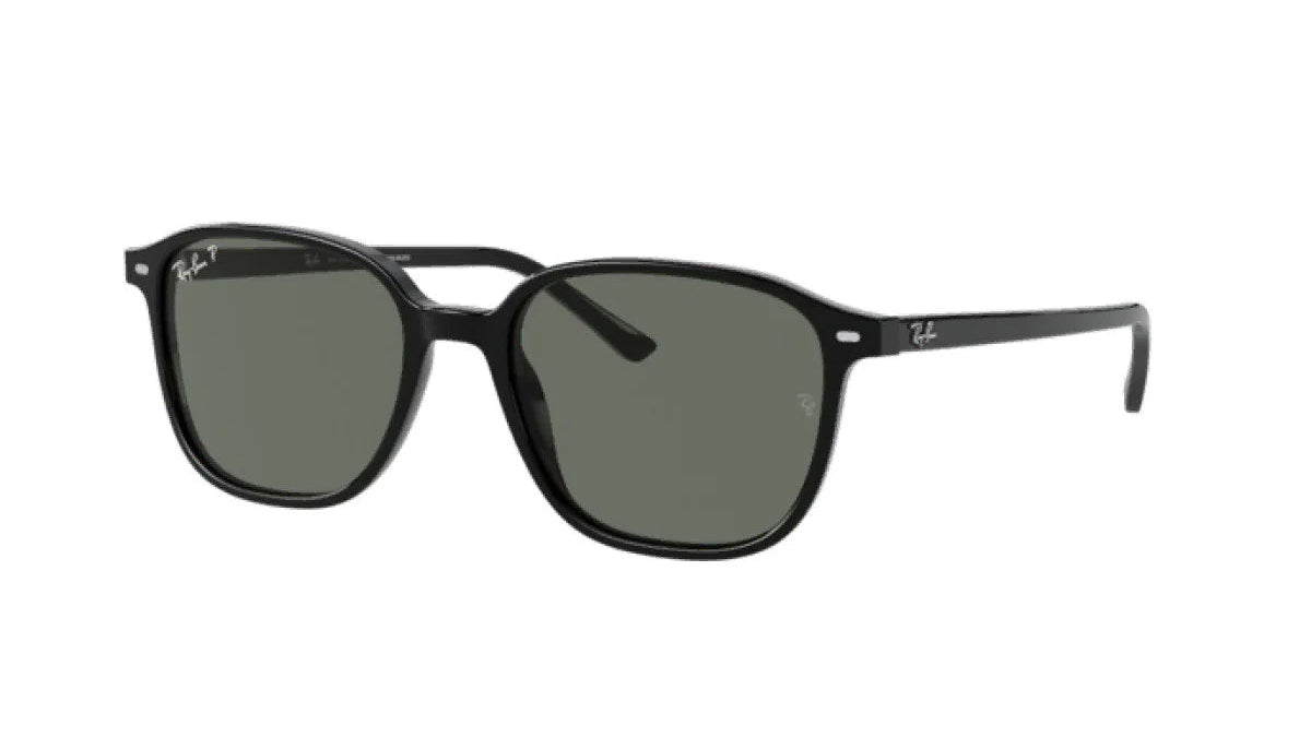 RAY-BAN SUNGLASSES LEONARD - RB2193F 901/58 55