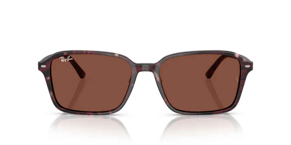 RAY-BAN SUNGLASSES RAIMOND - RB2231 1416C5 56