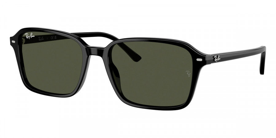 RAY-BAN SUNGLASSES RAIMOND - RB2231 901/31 58 - Black