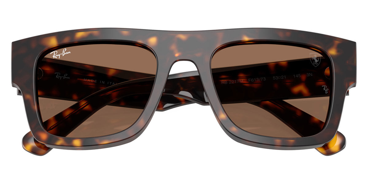 RAY-BAN SUNGLASSES - RB2217M F61373 53 - Havana