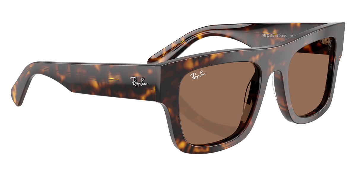 RAY-BAN SUNGLASSES - RB2217M F61373 53 - Havana