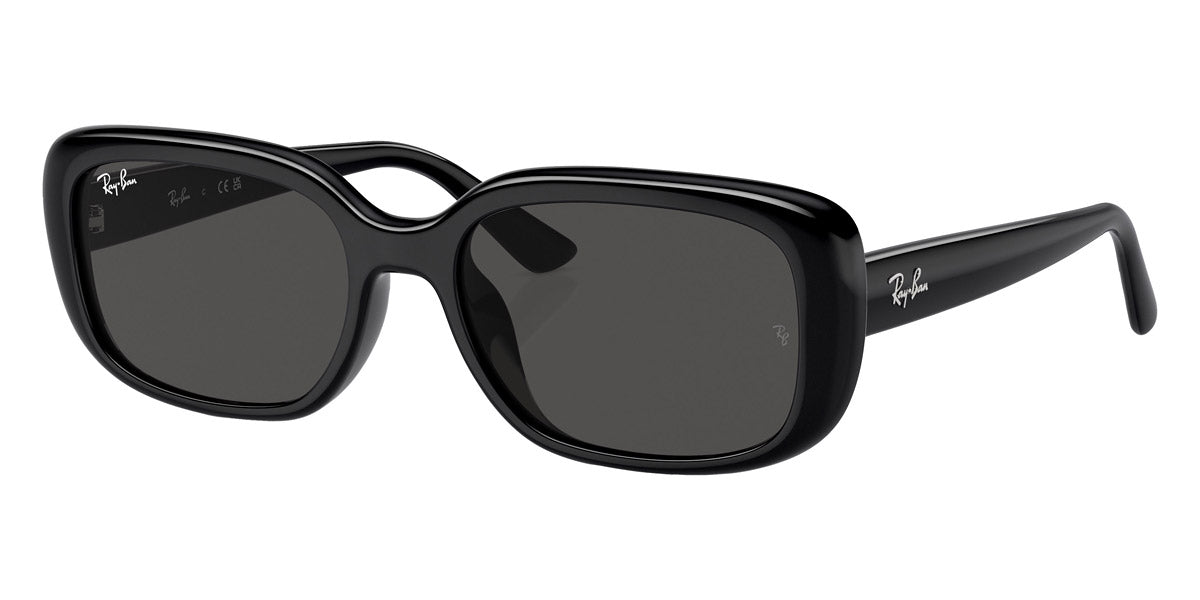 RAY-BAN SUNGLASSES - RB4421D 667787 56 - Black
