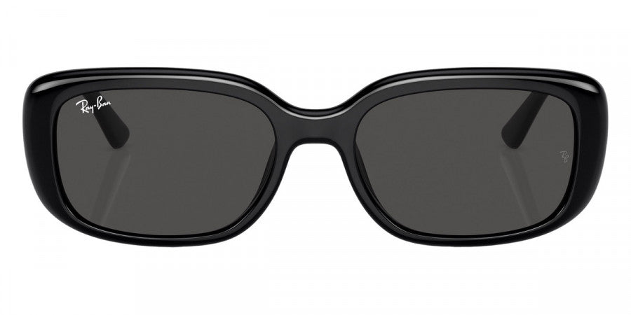 RAY-BAN SUNGLASSES - RB4421D 667787 56 - Black