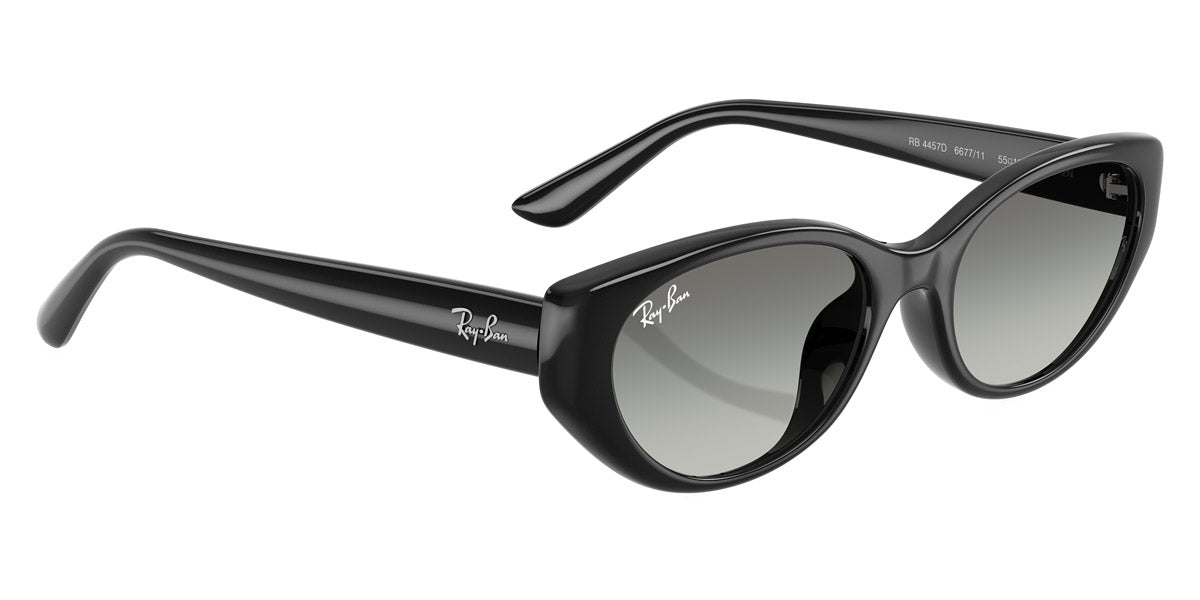 RAY-BAN SUNGLASSES - RB4457D 667711 55 - Black