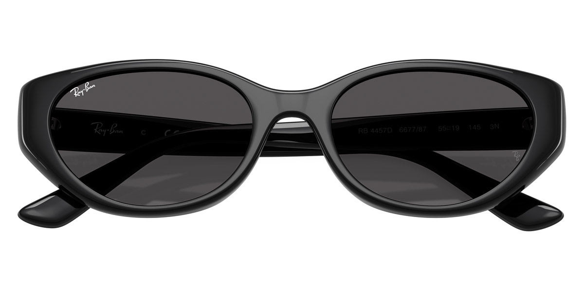 RAY-BAN SUNGLASSES - RB4457D 667787 55 - Black