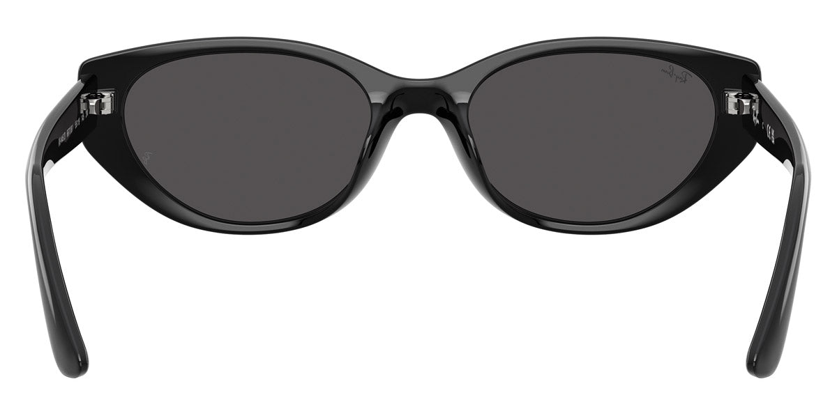 RAY-BAN SUNGLASSES - RB4457D 667787 55 - Black