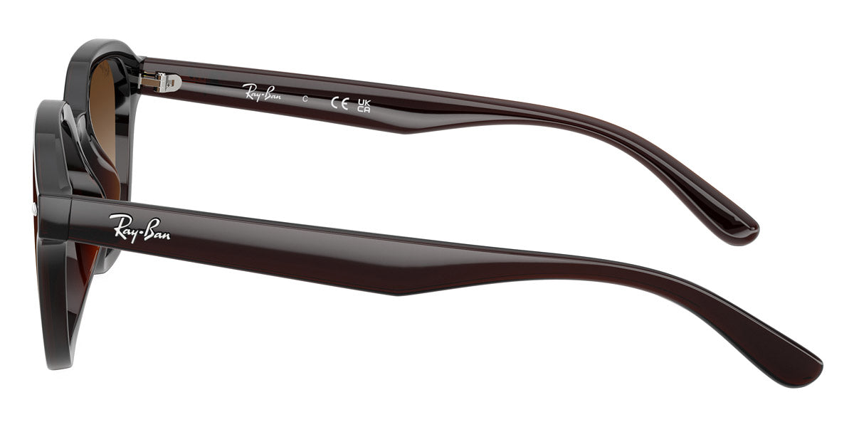 RAY-BAN SUNGLASSES - RB4458D 714/13 65 - Transparent Dark Brown