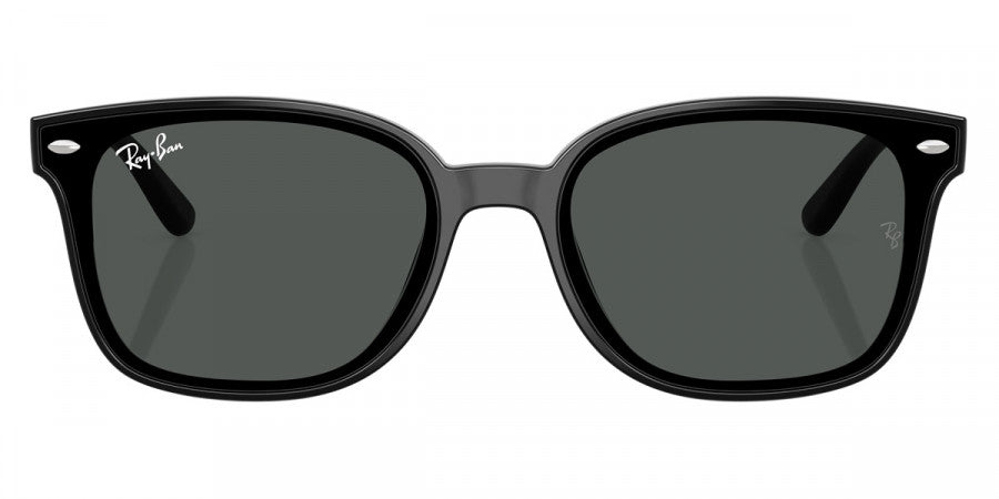 RAY-BAN SUNGLASSES - RB4461D 601/87 64 - Black