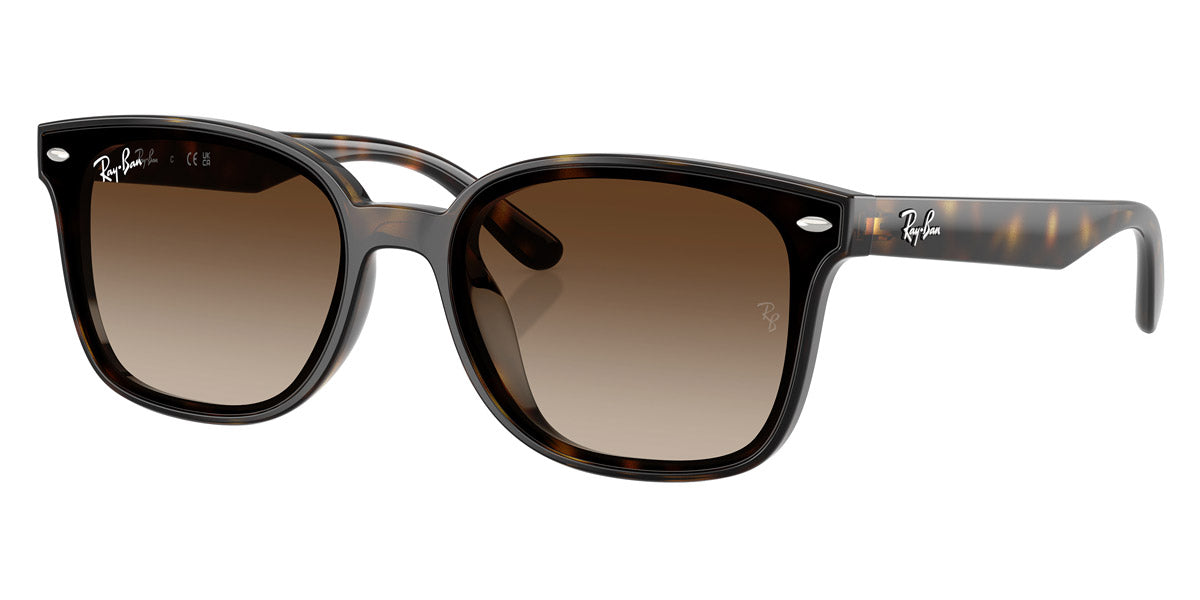 RAY-BAN SUNGLASSES - RB4461D 710/13 64 - Havana