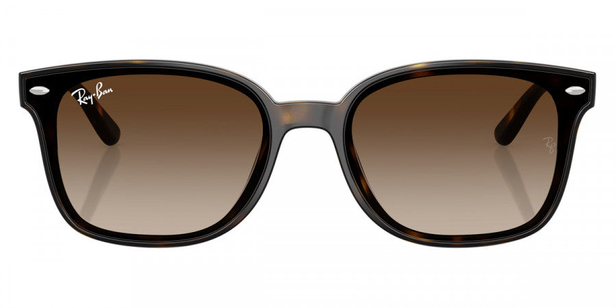 RAY-BAN SUNGLASSES - RB4461D 710/13 64 - Havana