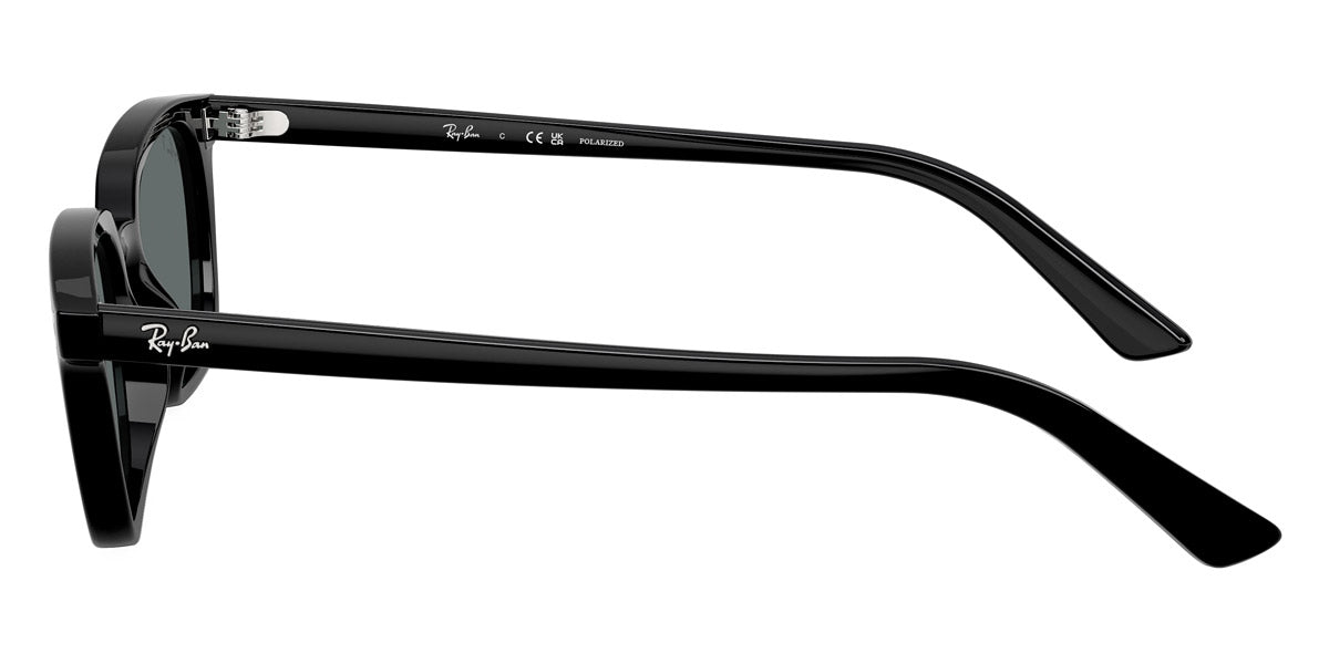 Ray-Ban™ Zaya RB4456 667781 50 - Black