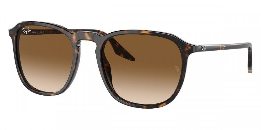 RAYBAN SUNGLASSES - RB2203 902/51 55 - Havana