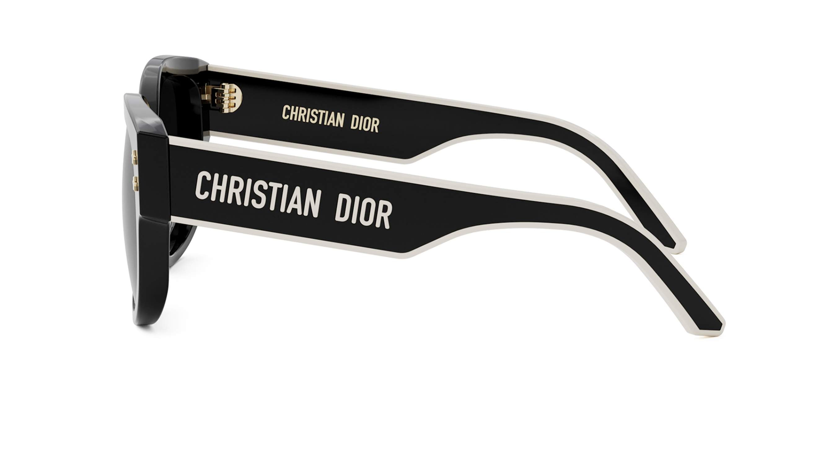 DIOR SUNGLASSES - DIORPACIFIC B21 10A1 54