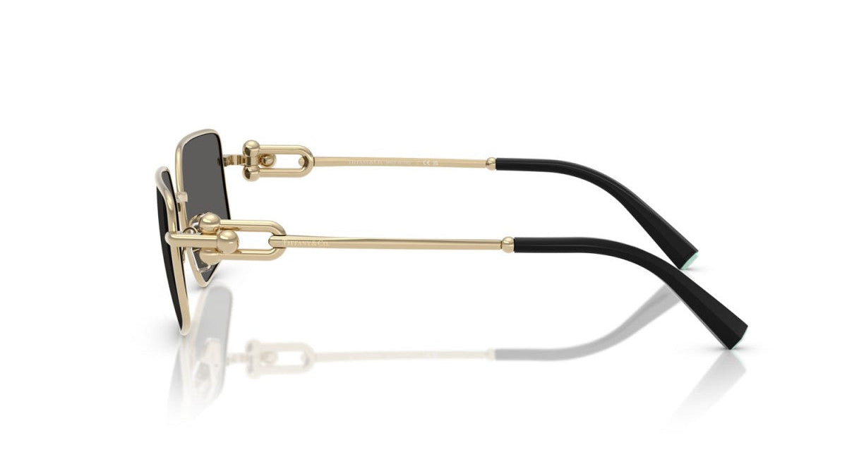 TIFFANY SUNGLASSES - TF3111 6021S4 58