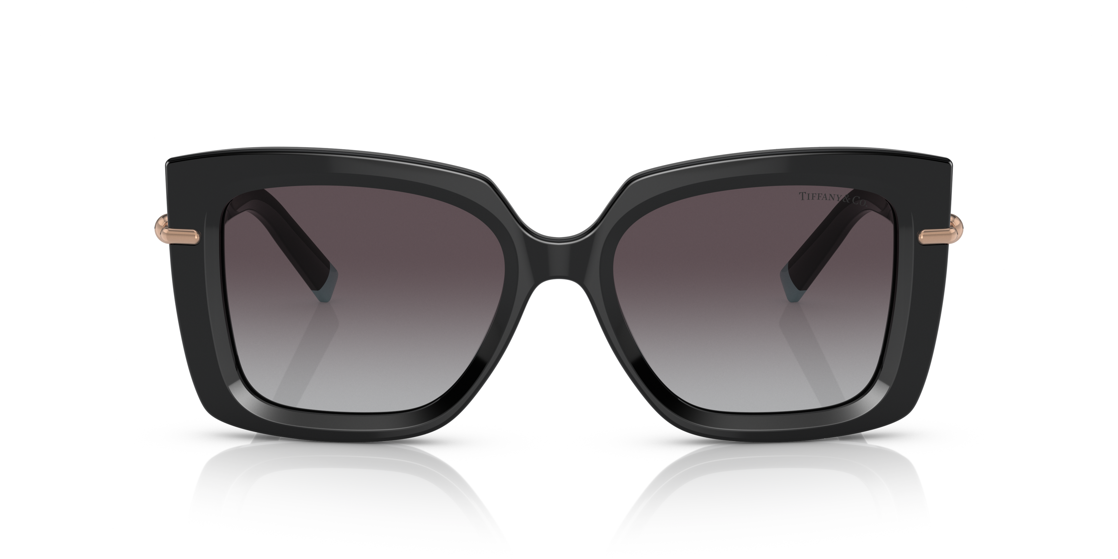 TIFFANY SUNGLASSES - TF4199 80013C 53