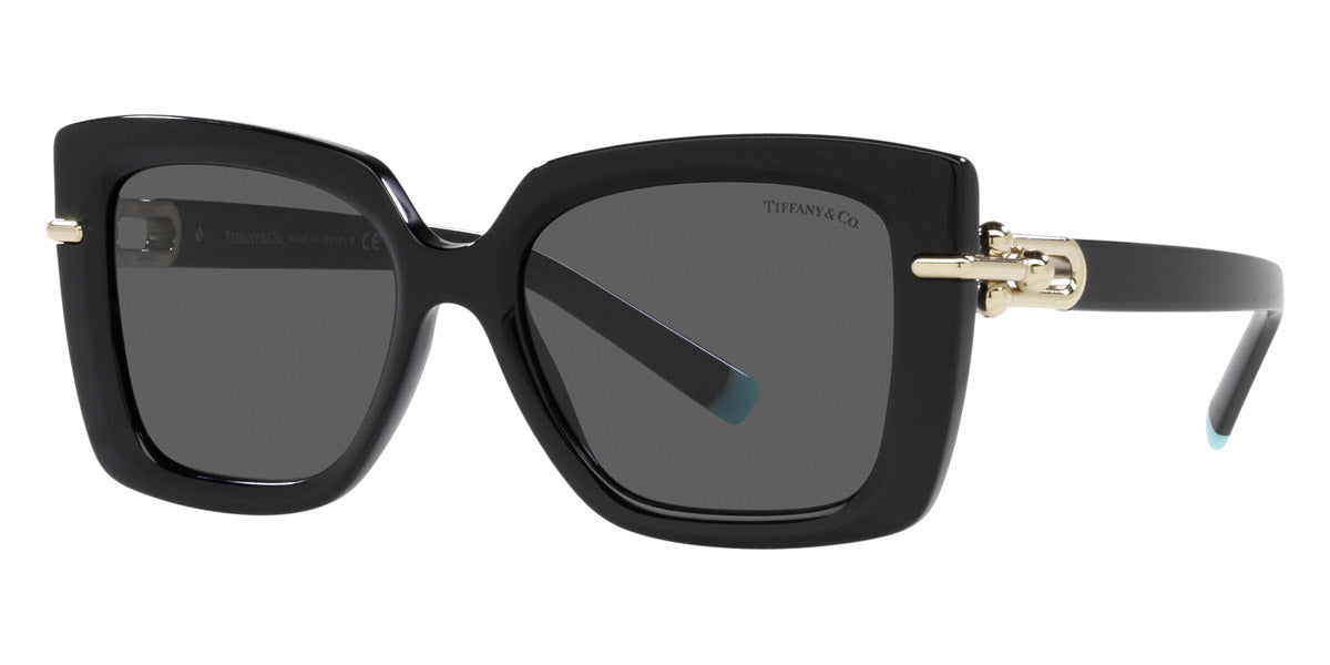 TIFFANY SUNGLASSES - TF4199 8001S4 53 - Black