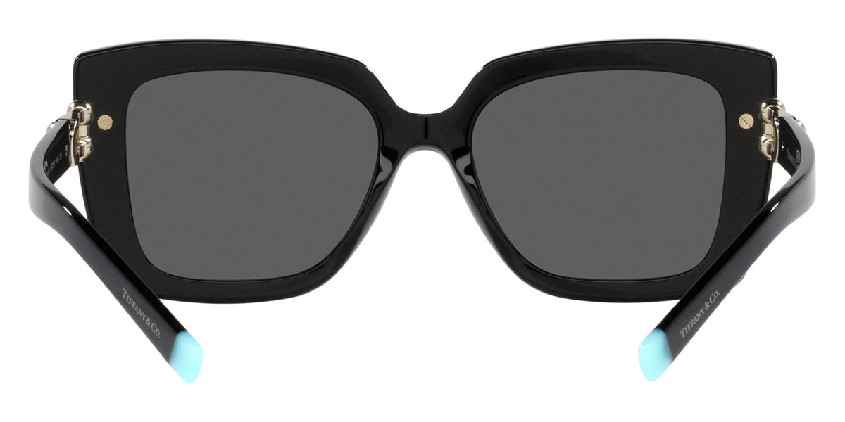TIFFANY SUNGLASSES - TF4199 8001S4 53 - Black