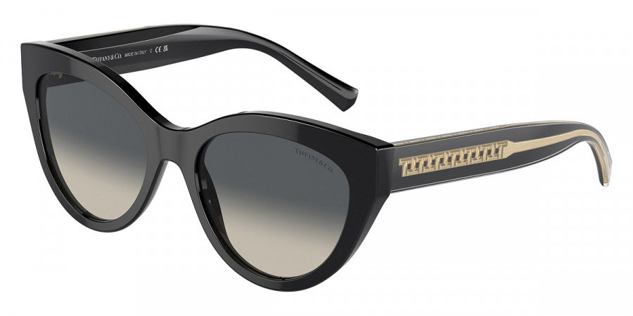 TIFFANY SUNGLASSES - TF4220 800171 54 - Crystal on Black