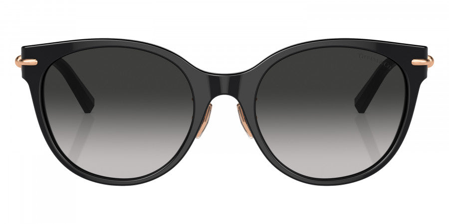 TIFFANY SUNGLASSES - TF4223D 80013C 54 - Black