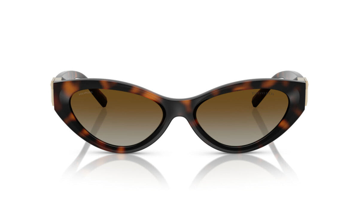 TIFFANY SUNGLASSES - TF4225U 8015T5 54